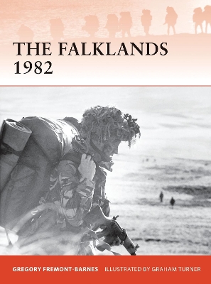 Falklands 1982 book