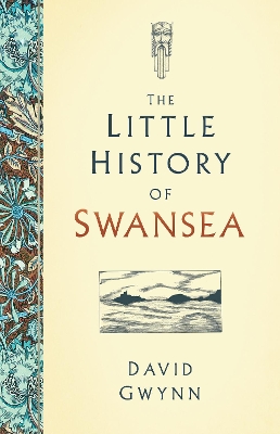 The Little History of Swansea book
