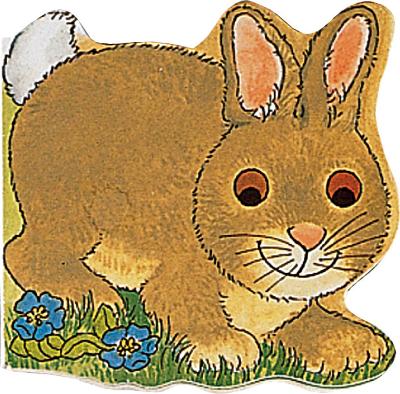 Pocket Bunny book