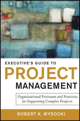 Executive's Guide to Project Management book