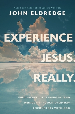 Experience Jesus. Really: Finding Refuge, Strength, and Wonder through Everyday Encounters with God book