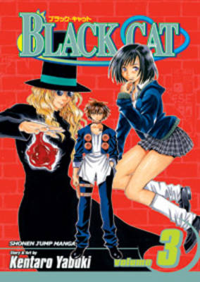 Black Cat, Vol. 3 book