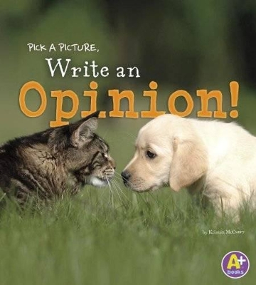 Opinion book