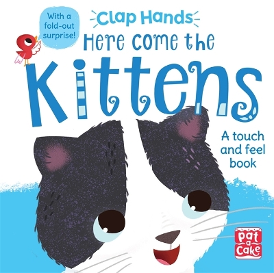 Clap Hands: Here Come the Kittens: A touch-and-feel board book with a fold-out surprise book