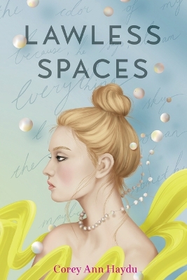 Lawless Spaces book