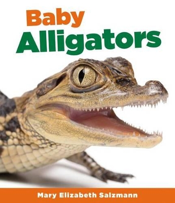 Baby Alligators book