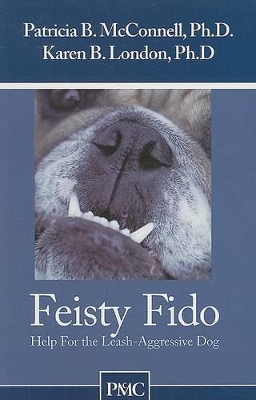 Feisty Fido book