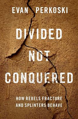 Divided Not Conquered: How Rebels Fracture and Splinters Behave book