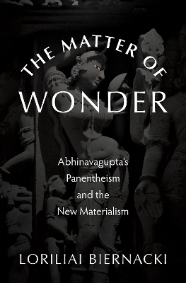 The Matter of Wonder: Abhinavagupta's Panentheism and the New Materialism book