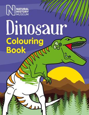 Dinosaur Colouring Book book