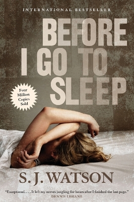 Before I Go to Sleep book