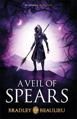 Veil of Spears book