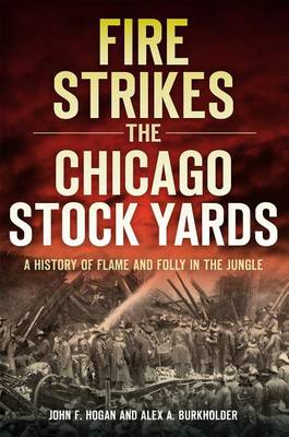 Fire Strikes the Chicago Stock Yards book