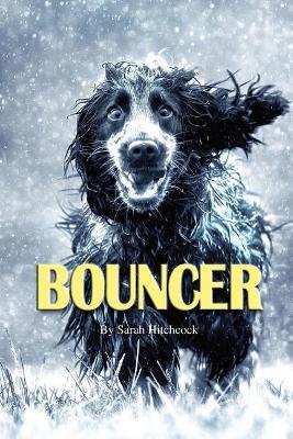 Bouncer book