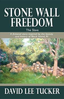 Stone Wall Freedom: The Slave by David Lee Tucker