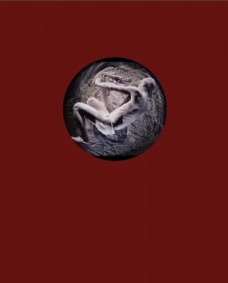 THE VOID: Wolfgang H Scholz; Photography, Film, Performance and Installation book