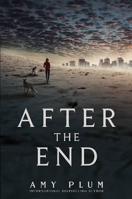 After the End book
