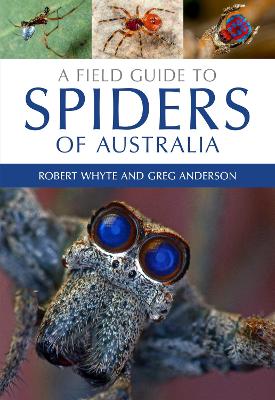 Field Guide to Spiders of Australia by Robert Whyte