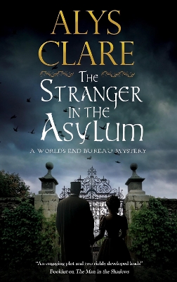 The Stranger in the Asylum book