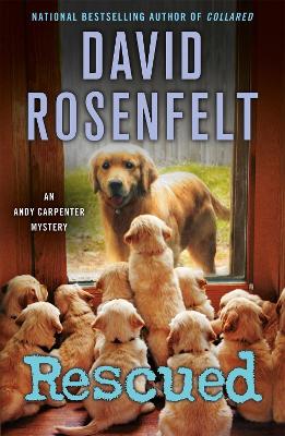 Rescued: An Andy Carpenter Mystery book