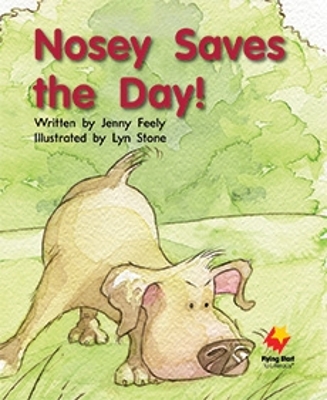 Nosey Saves The Day book