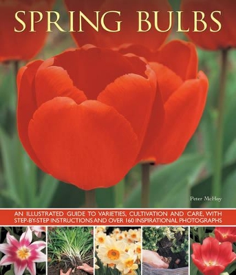 Spring Bulbs book