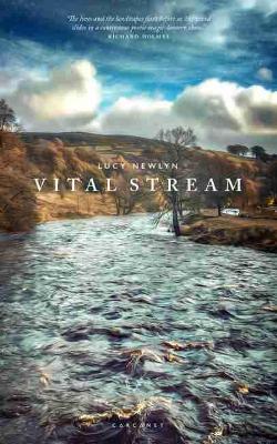 Vital Stream book