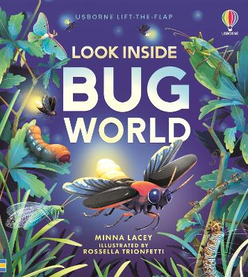 Look Inside Bug World book