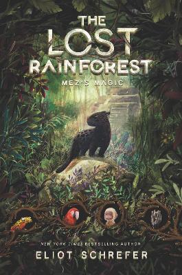 Lost Rainforest: Mez's Magic book