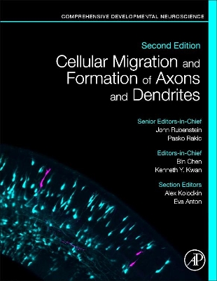 Cellular Migration and Formation of Axons and Dendrites: Comprehensive Developmental Neuroscience book