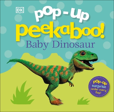 Pop-Up Peekaboo! Baby Dinosaur book