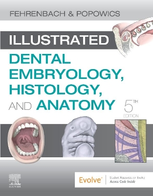 Illustrated Dental Embryology, Histology, and Anatomy by Margaret J. Fehrenbach