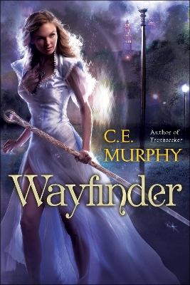 Wayfinder book