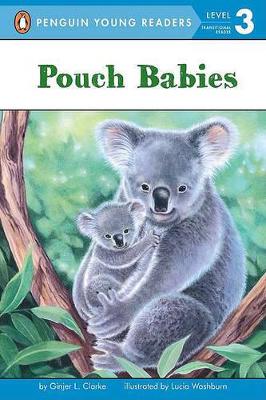 Pouch Babies book