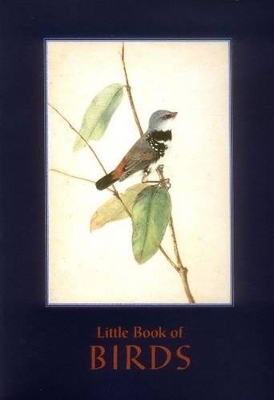 Little Book of Birds: Featuring Poetry by Judith Wright, Henry Kendall, Tom Shapcott and Others by Judith Wright