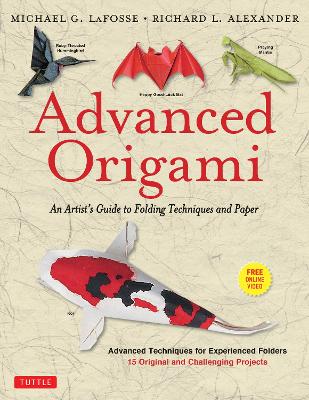 Advanced Origami book