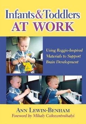 Infants & Toddlers at Work book