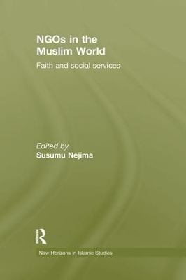 NGOs in the Muslim World book