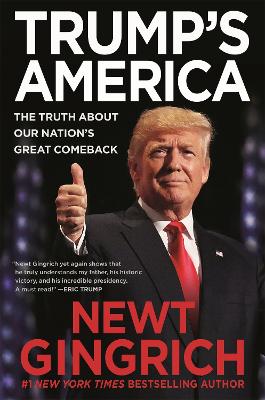 Trump's America: The Truth about Our Nation's Great Comeback book