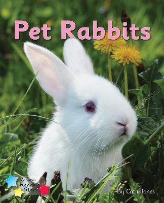 Pet Rabbits: Phonics Phase 3 book