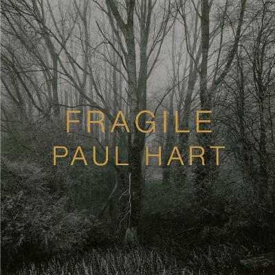 FRAGILE book