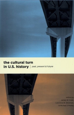 The Cultural Turn in U.S. History by James W. Cook