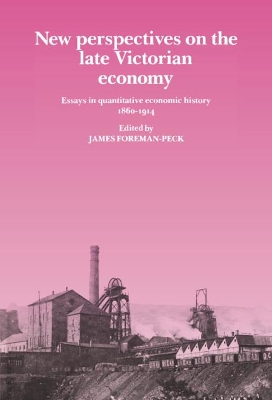 New Perspectives on the Late Victorian Economy by James Foreman-Peck