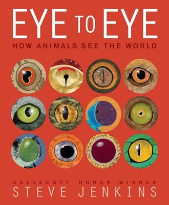 Eye to Eye book
