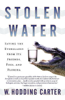 Stolen Water book