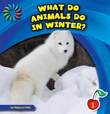 What Do Animals Do in Winter? by Rebecca Felix