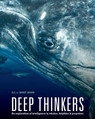 Deep Thinkers book