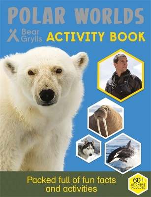 Bear Grylls Activity Series: Polar Worlds - Bear Grylls book