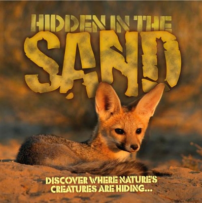Hidden in the Sand by Barbara Taylor