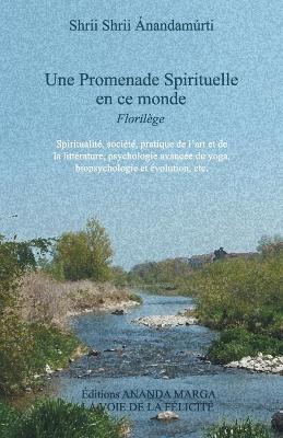 Une Promenade spirituelle en ce monde book